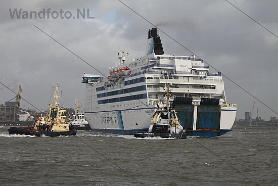 Ferry Princess of Norway komt binnen met stormweer, IJmuiden