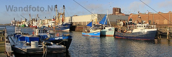 Vissershaven / Haringhaven, IJmuiden
Een rustige Tweede Kerstdag