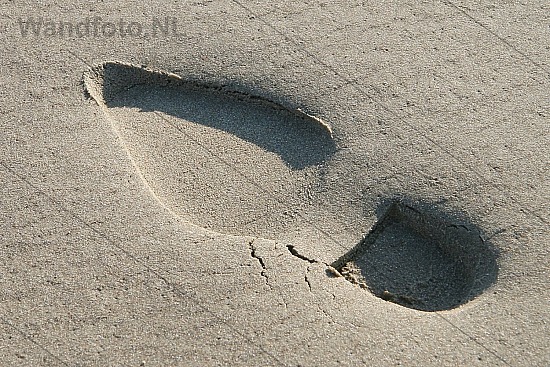 Scherp, Kennemerstrand - Grote Strand, IJmuiden aan Zee