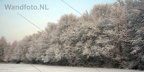 Sneeuw, Landgoed Beeckestiijn,