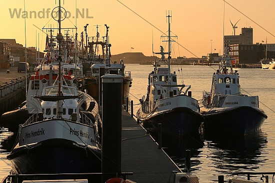 KNRM-vloot klaar voor Koningsvaart, KNRM-Steiger, IJmuiden