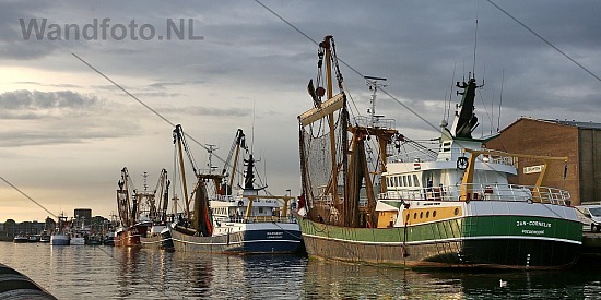 Viskotters, Vissershaven - Trawlerkade, IJmuiden