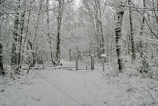 Sneeuw, Heerenduinen, IJmuiden