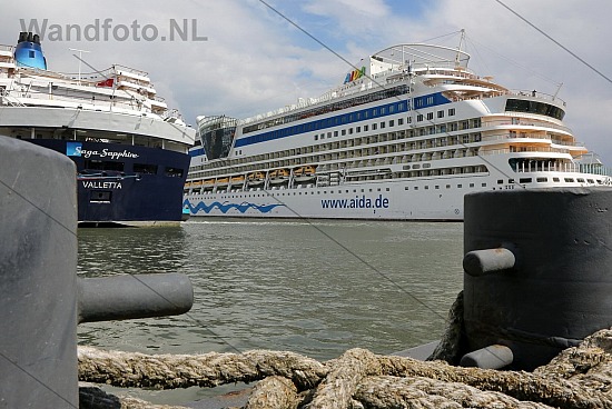 Bolder Rederij saga Scheepstros, Felison Cruise Terminal, IJmuid