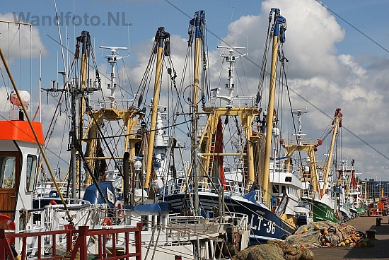 Kotters aan de kade, Vissershaven - Trawlerkade, IJmuiden