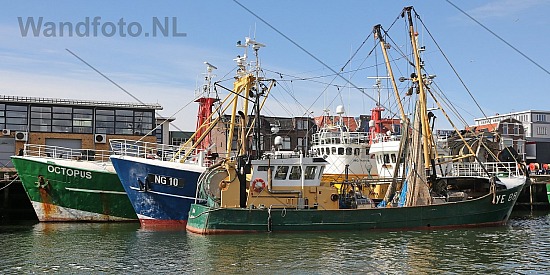Viskotters, Vissershaven - Trawlerkade, IJmuiden