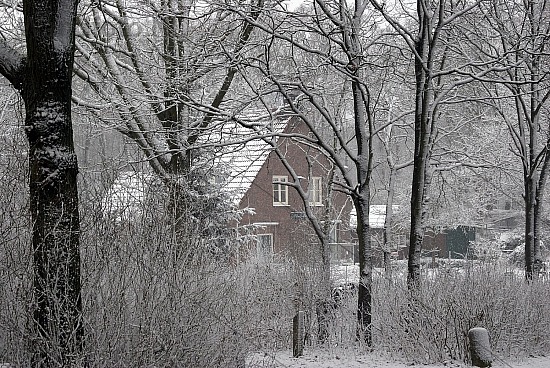 Sneeuw, Midden-Heerenduinen, Driehuis