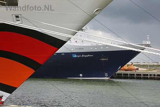 Felison Cruise Terminal, IJmuiden