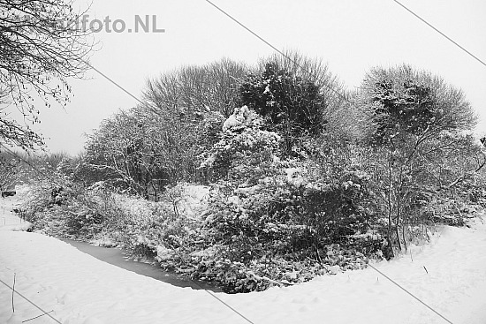 Sneeuw, Recreatiegebied Spaarnwoude, Velsen-Zuid