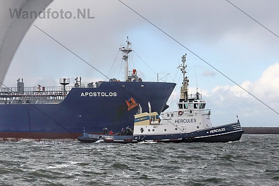 Sleepboot Hercules, Buitenhaven, IJmuiden