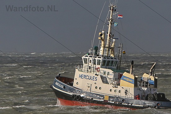 Sleepboot Hercules, Buitenhaven, IJmuiden
