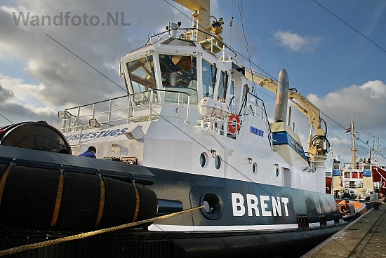 Proefvaart sleepboot Brent, Loggerkade, IJmuiden