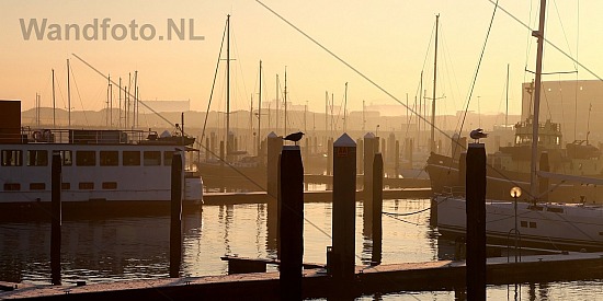 Windstille ochtend Marina Seaport IJmuiden, IJmuiden aan Zee