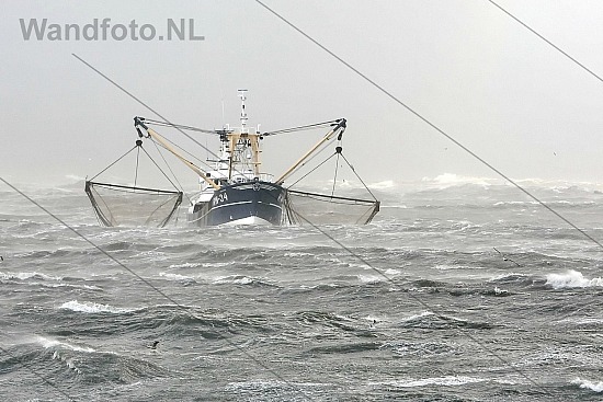 Viskotter KW-34 komt met storm de haven binnen, IJmuiden