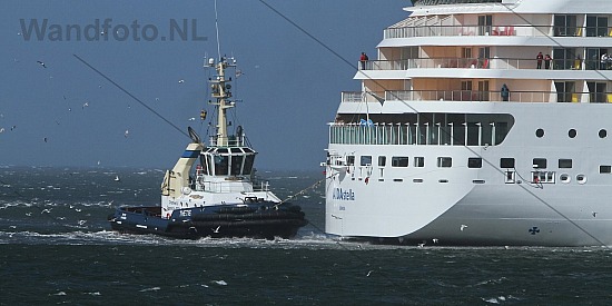 Aankomst AIDAStella, Felison Cruise Terminal, IJmuiden