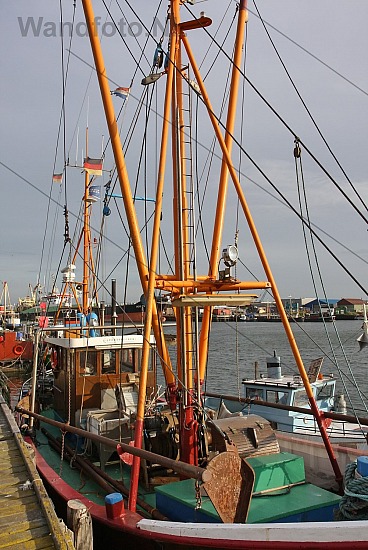 Viskotter, Haringhaven, IJmuiden