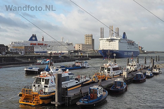 DFDS-ferries samen, Felison Terminal - Cruisekade, IJmuiden