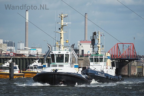 Sleepboot Telstar, Buitenhaven, IJmuiden