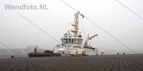 Sleepboot Triton in de mist, IJmuiden