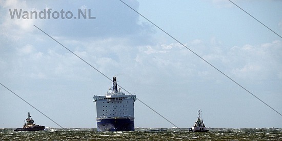 Cruiseferry komt laat binnen door storm, Buitenhaven, IJmuiden