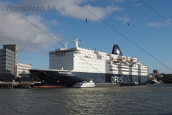 Cruiseferry Princess Seaways, Felison Terminal, IJmuiden (FotoKv