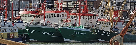 Guardvessels Van Laar, Trawlerkade, IJmuiden (FotoKvL/02-03-2024
