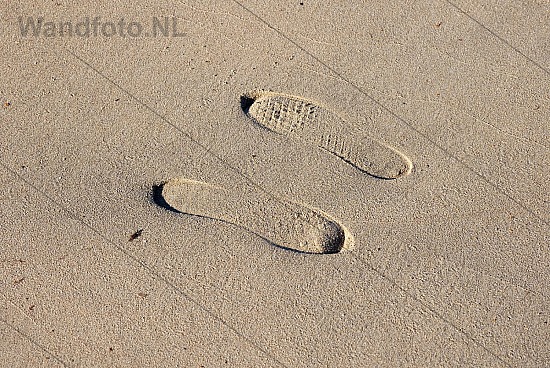 Welke richting?, Kleine Strand, IJmuiden aan Zee