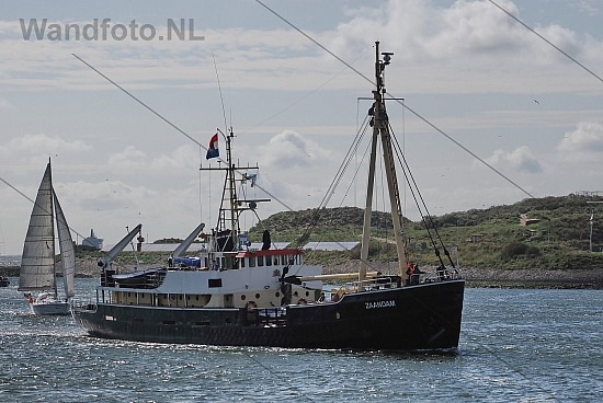 Kopsschip Zaandam arriveert in IJmuiden, Buitenhaven, IJmuiden (