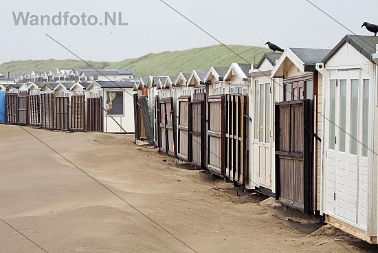 Strandhuisjes naar de wintrstalling, IJmuiden aan Zee