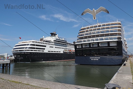 Twee cruiseschepen voor een servicecall, IJmuiden