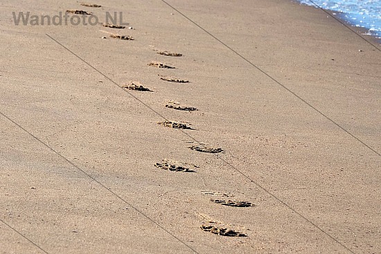 Hondenvoetstappen, Kleine Strand, IJmuiden aan Zee