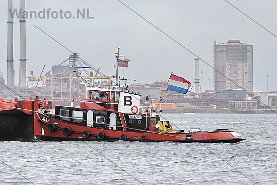 Duw-sleepboot Lizzy, Fortput, IJmuiden