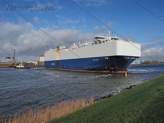 Car carrier Viking Sea loopt uit zijn roer, Noordzeekanaal - Kan