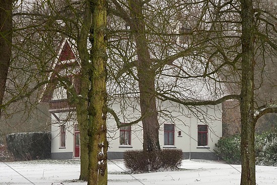 Eerste sneeuw van 2021, Wustelaan, Santpoort-Noord