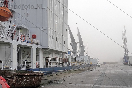 Vriesschip Solent Star, Trawlerkade, IJmuiden (FotoKvL/21-11-202