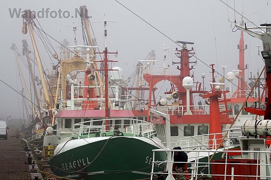 Guard vessels in de mist, Trawlerkade, IJmuiden (FotoKvL/21-11-2