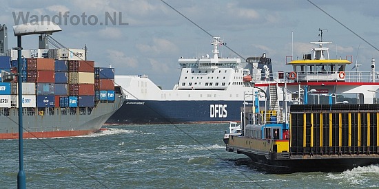 RoRoferry Sealandia Seaways, Het Scheur, IJmuiden