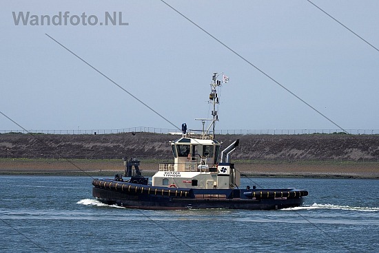 Sleepboot Svitzer Typhoon, Buitenhaven, IJmuiden