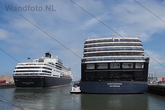 Twee cruiseschepen voor een servicecall, IJmuiden