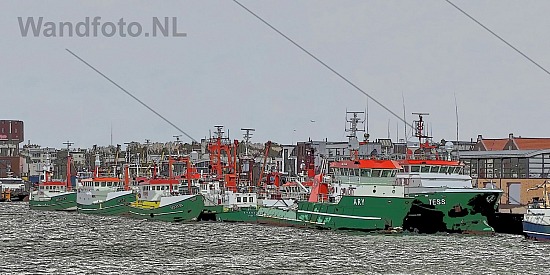 Vloot Van Laar Maritime, Vissershaven, IJmuiden