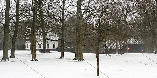 Eerste sneeuw van 2021, Wustelaan, Santpoort-Noord