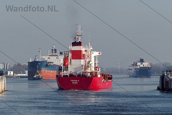 Binnenkomende en uitgaande schepen, Zeesluis IJmuiden, IJmuiden