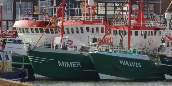 Guard vessels