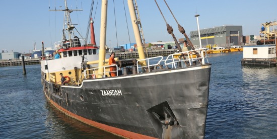 Zeekadetkorps