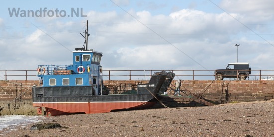 De Cromarty Rose in 2009