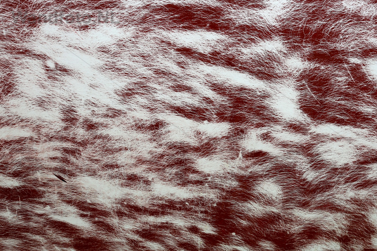 Marina Seaport, IJmuidenZeiljachtNWFoto / Ko van Leeuwenkvl_1