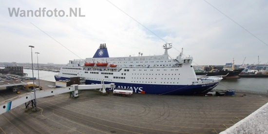 --aspectratio, --bedrijven en organisaties, --bedrijven en organisaties--havengerelateerde bedrijven, --datums, --maritieme fotografie, --soort-foto, --transport-scheepvaart, --transport-scheepvaart-rederijen, --transport-transport, -2x1, 2011-jaar, 201103, 20110309, FotoKvL, Wandfoto.NL, europa-continent, felison terminal, horizontale foto, ijmond-regio, ijmuiden-plaats, inci-no, kennemerland-regio, kvsa, liggende foto, nederland-land, nld-landcode, noord-holland-provincie, rederij dfds seaways, uploaded-20251028, velsen-gemeente