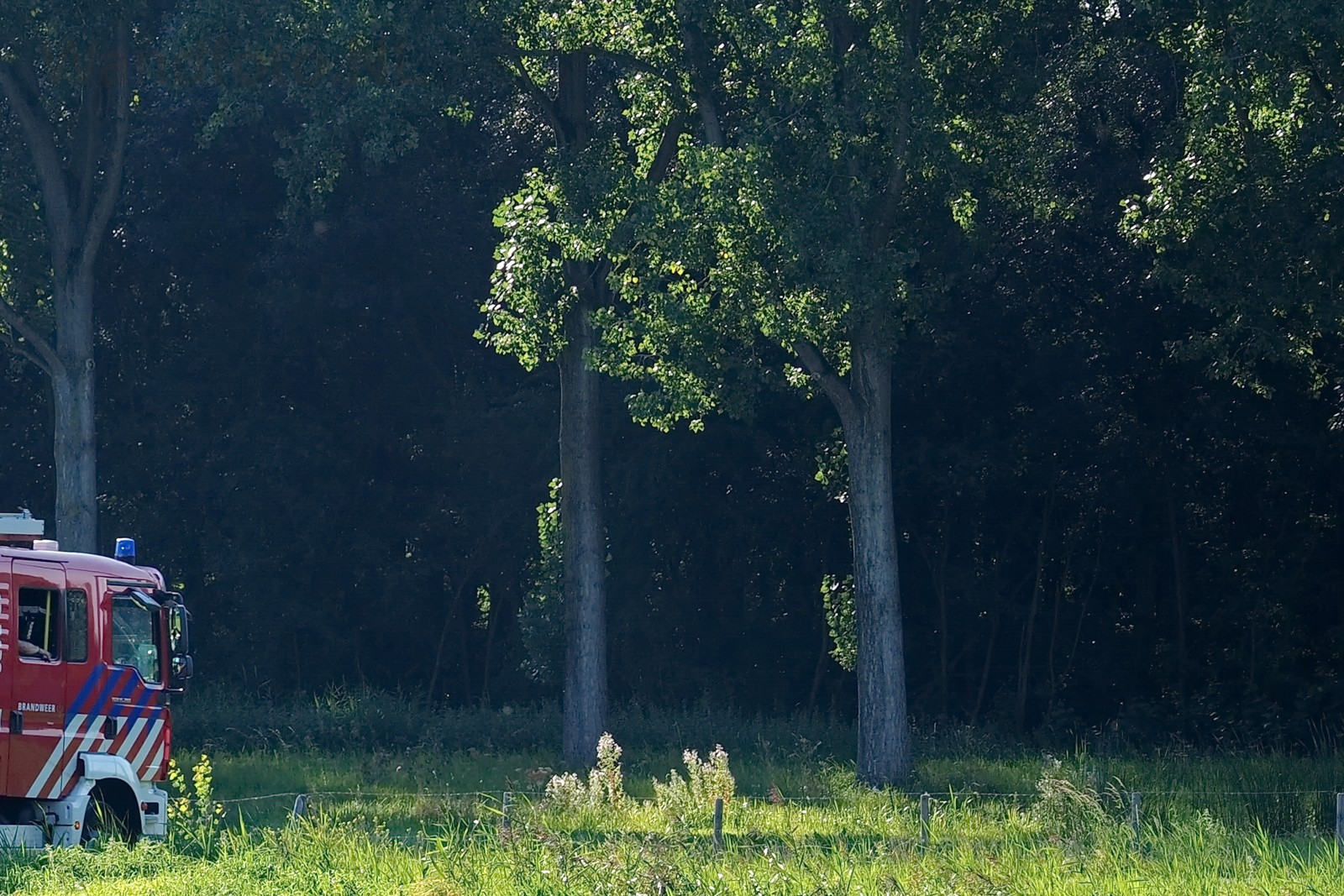 Buitenbrand vuilnis-hooi