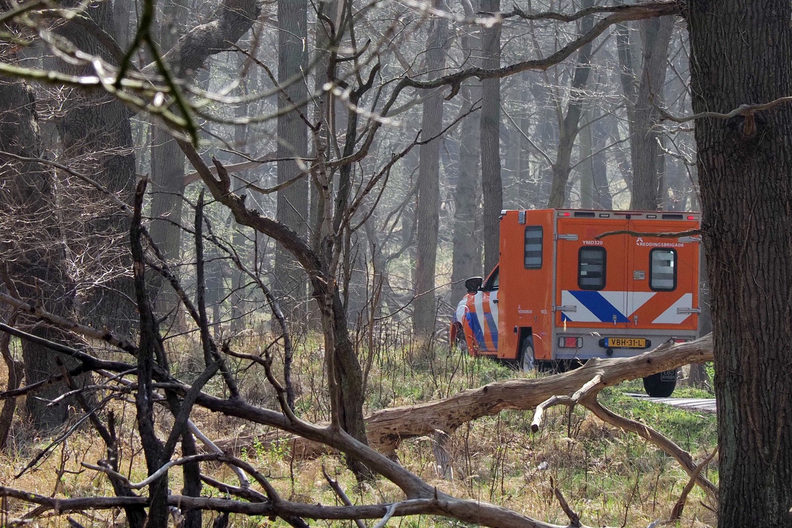 Reddingsbrigade in het bos