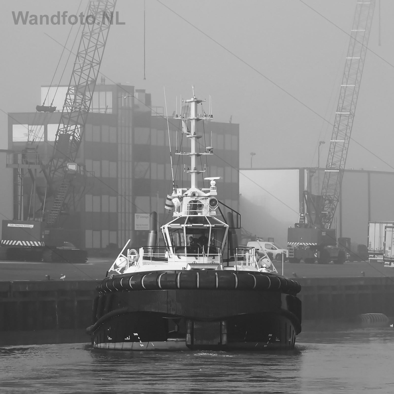 Mist in IJmuiden, Vissershaven, IJmuiden